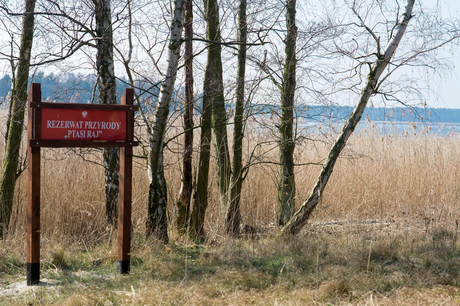 Sobieszepty Odetchnij Cisza Lodget Gdańsk